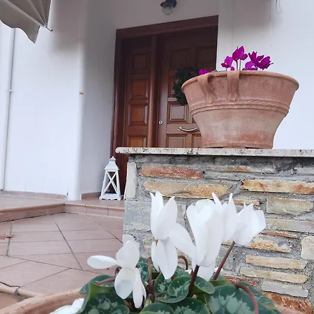 Marga Luxury Retreat * Káto Lekhónia