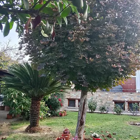 Marga Luxury Retreat