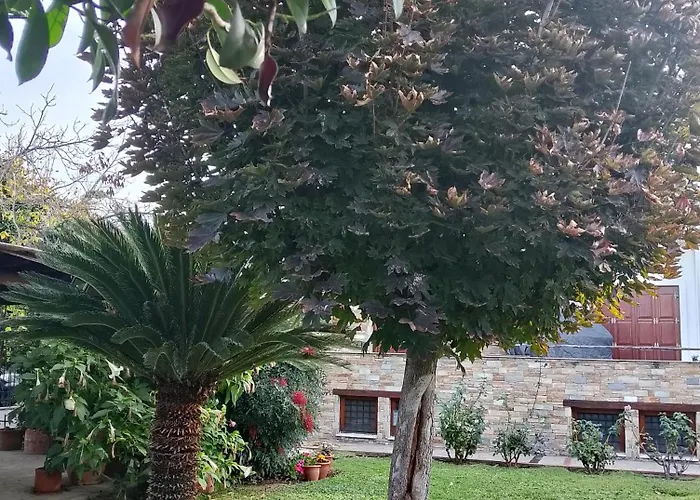 Marga Luxury Retreat