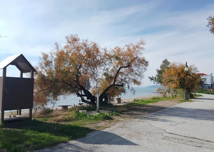 Marga Luxury Retreat Káto Lekhónia