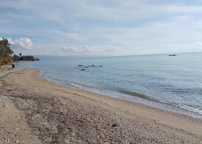 Marga Luxury Retreat Villa